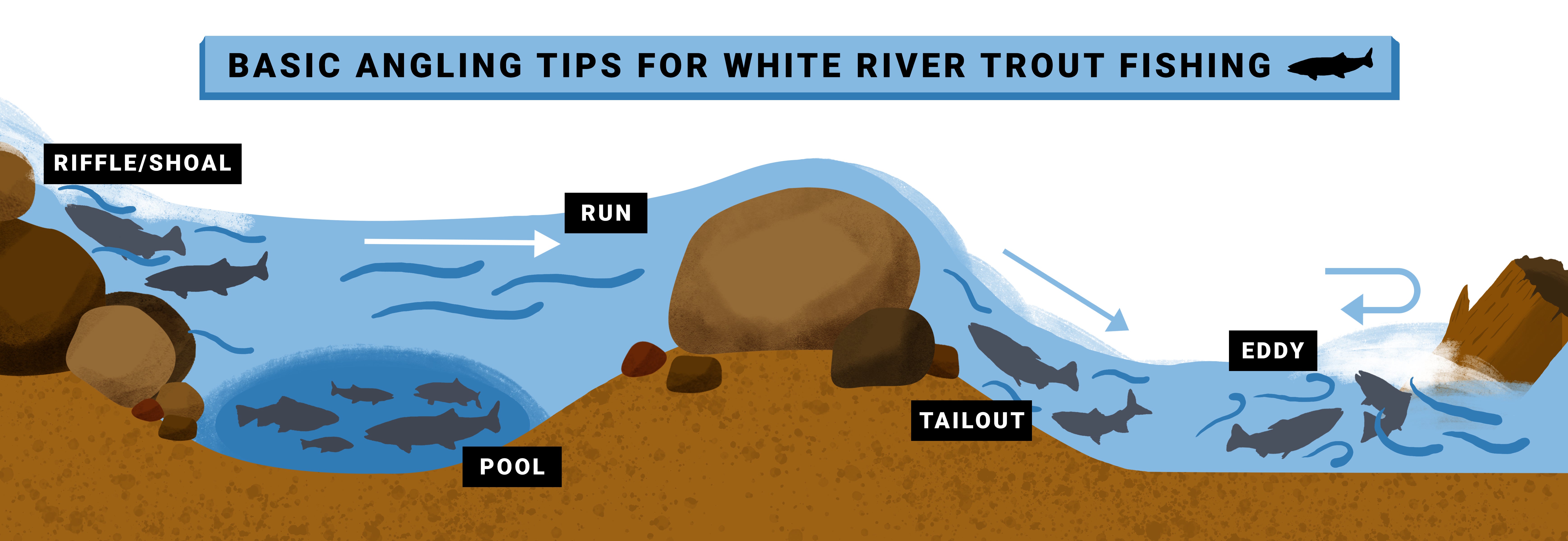 Cross-section drawing of a river depicting specific areas where trout tend to hide out in or avoid, including a riffle/shoal, run, pool, tailout, and an eddy  